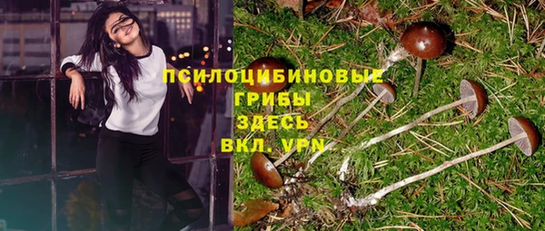 меф Няндома