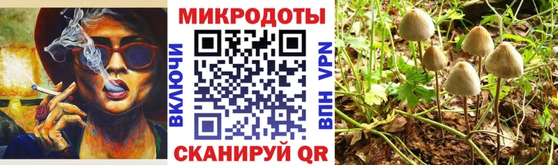 Галлюциногенные грибы GOLDEN TEACHER  Старый Оскол 